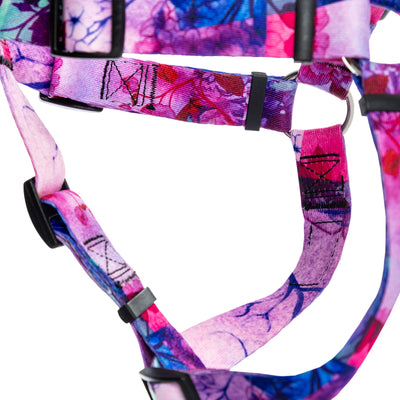 DayDream COMFORT DOG HARNESS