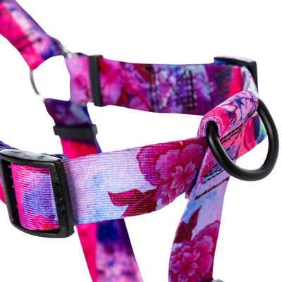 DayDream COMFORT DOG HARNESS