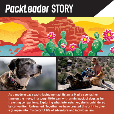 PackLeader Dog Leash