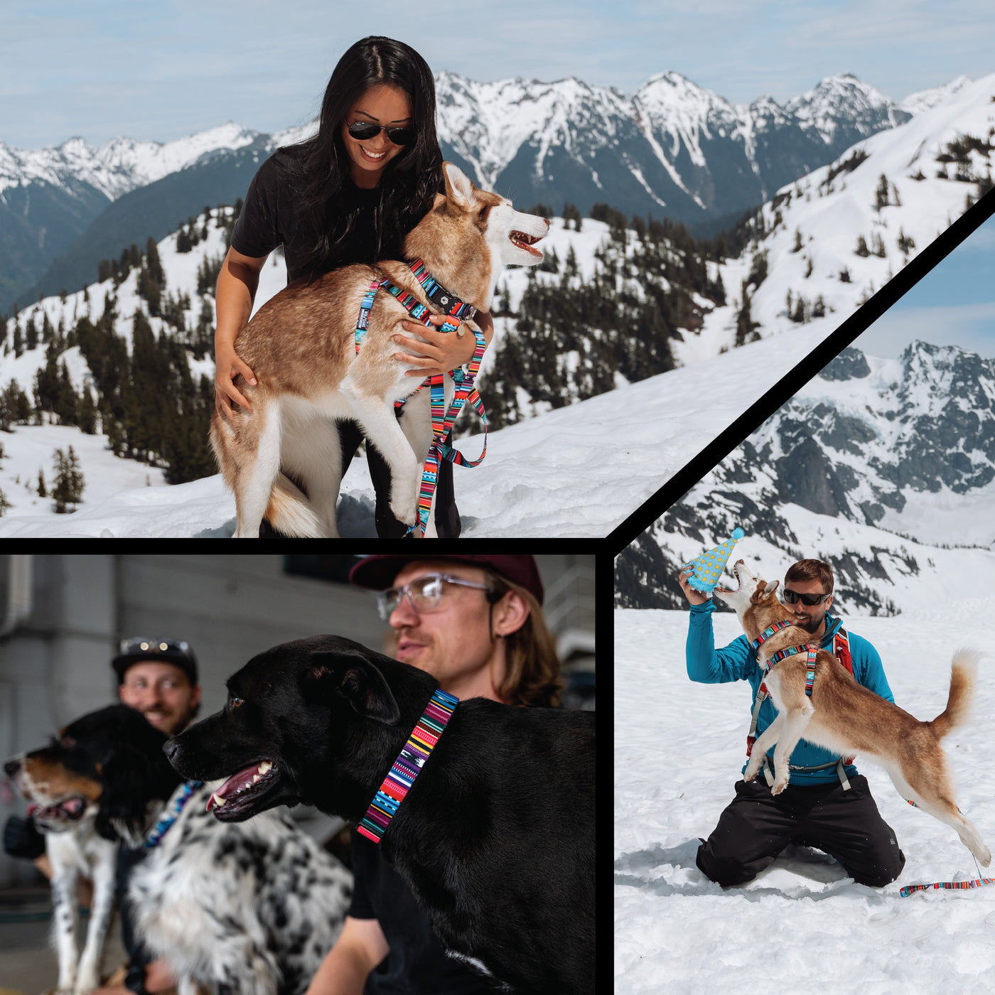 Quetzal Dog Harness
