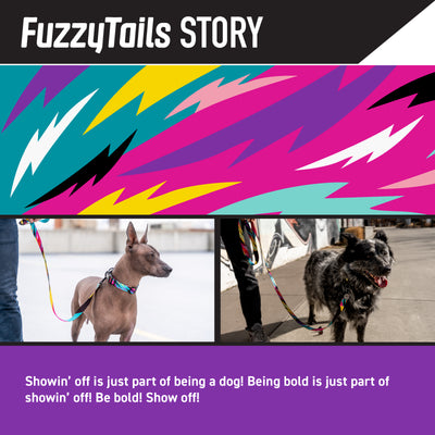 FuzzyTails Dog Leash