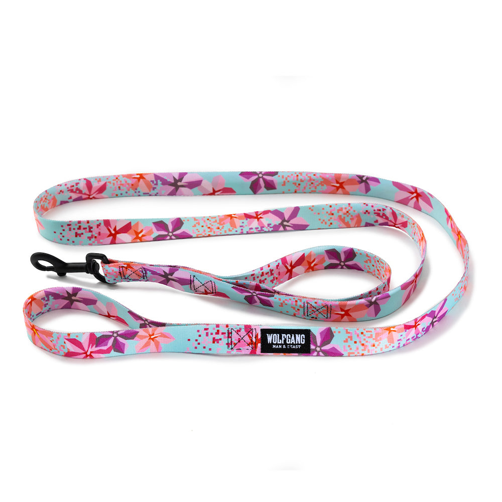 DigiFloral REACT DUAL-HANDLE DOG LEASH