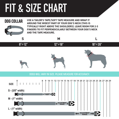 SunsetPalms Dog Collar