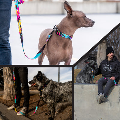 FuzzyTails Dog Collar