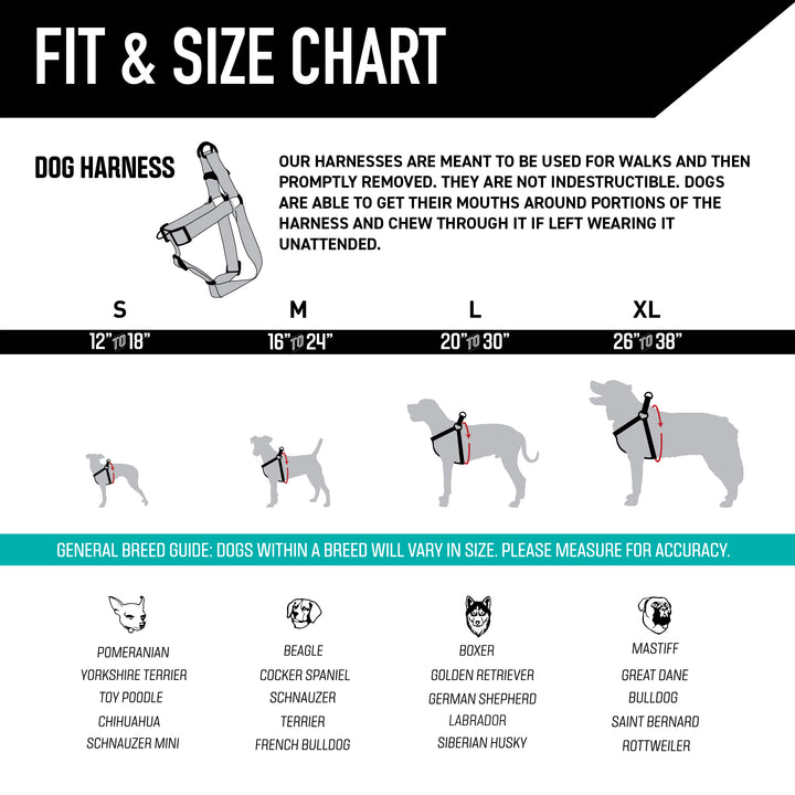 How to Fit a Dog Harness Correctly: Expert Tips