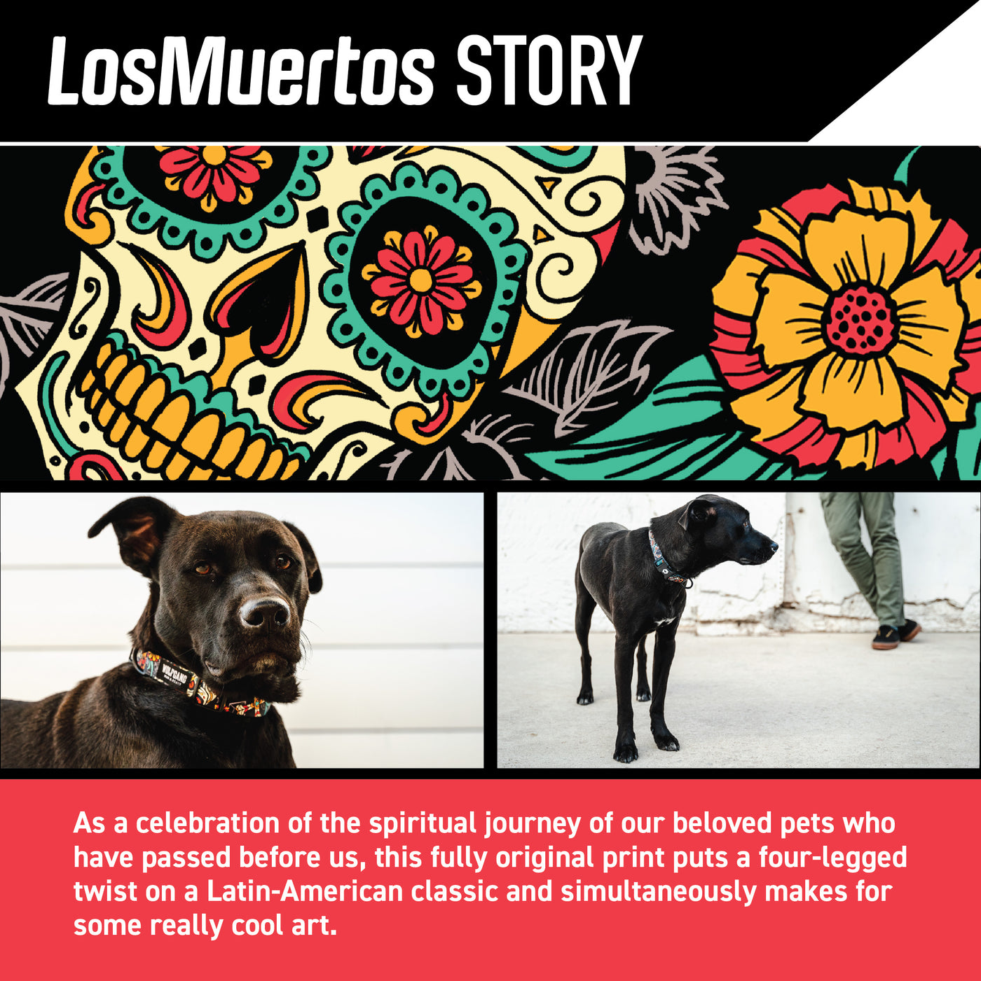 LosMuertos Dog Collar