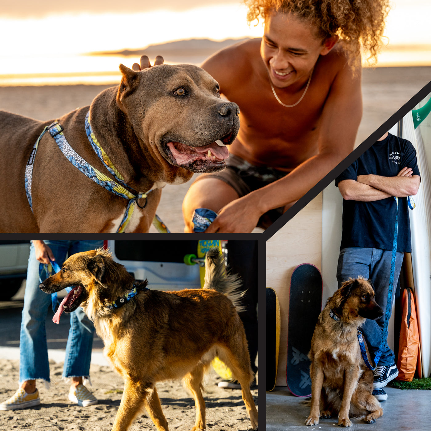 DawnPatrol Dog Collar