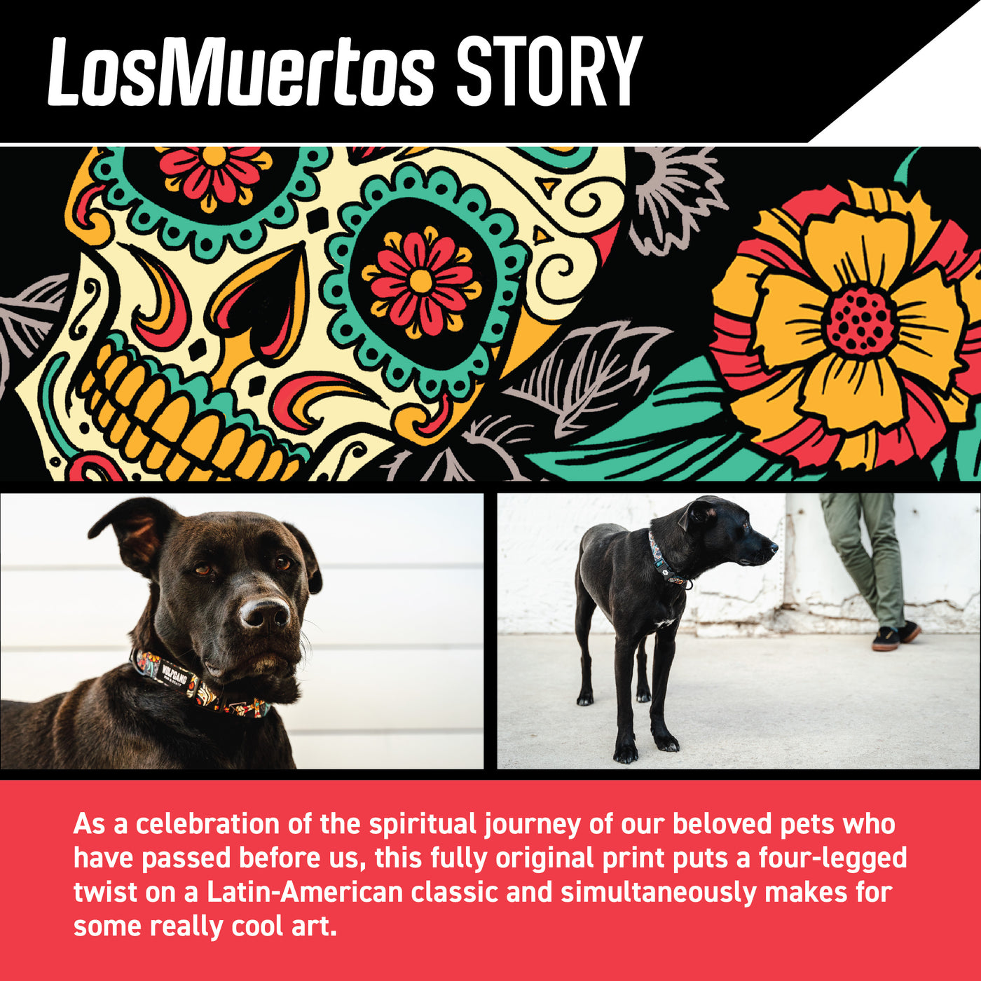 LosMuertos Dog Harness