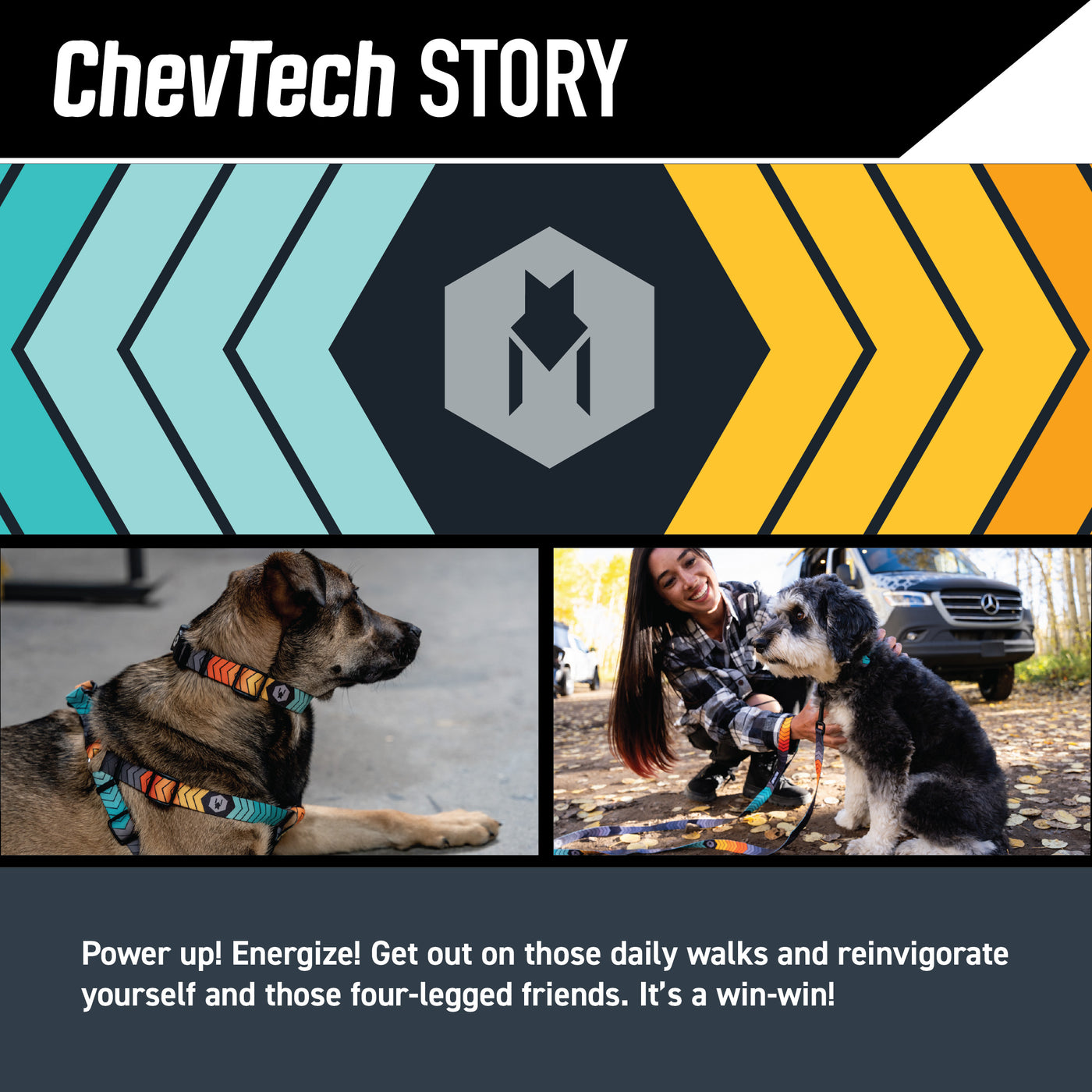 ChevTech Wide Dog Collar