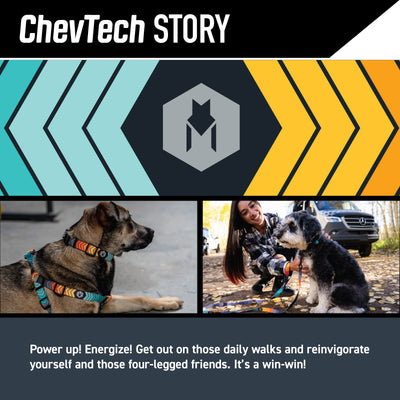 ChevTech Wide Dog Collar