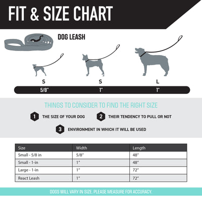 MountainVibes Dog Leash