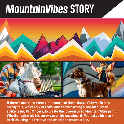 MountainVibes Dog Leash