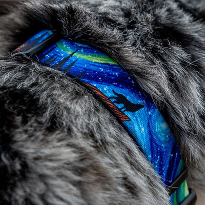 StarryWolf DOG COLLAR