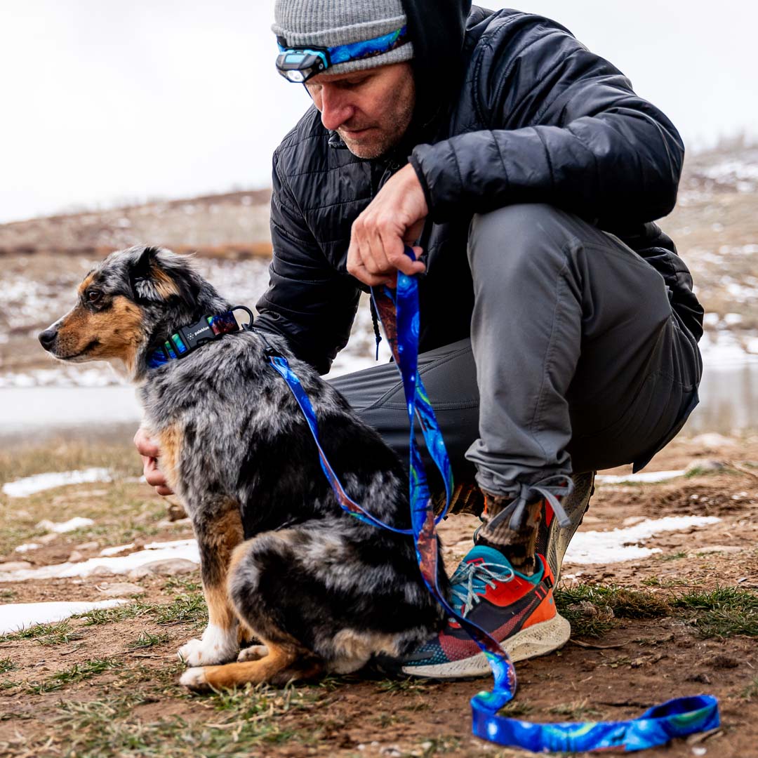 StarryWolf DOG LEASH