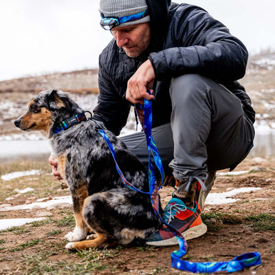 StarryWolf DOG LEASH