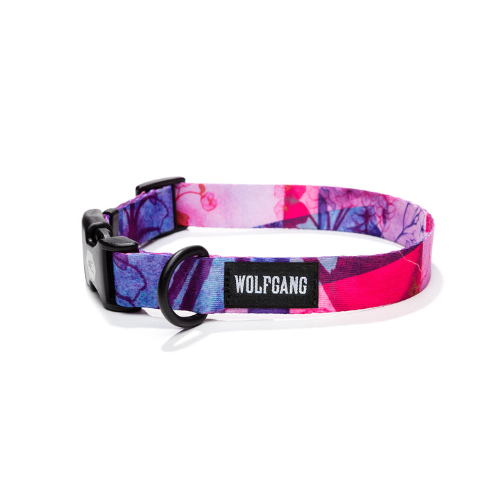 DayDream Design Cool Dog Collar Wolfgang Man Beast