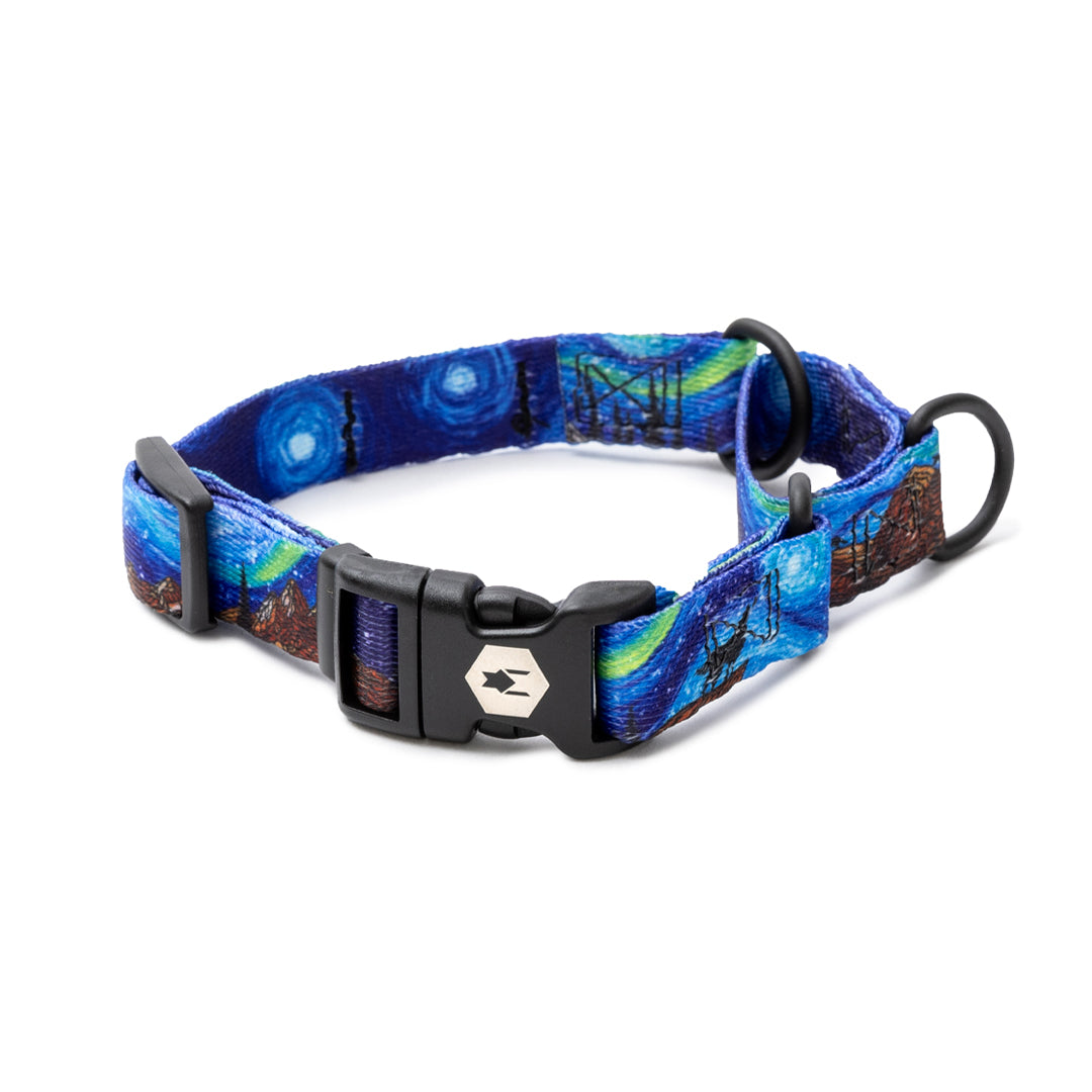 StarryWolf MARTINGALE DOG COLLAR