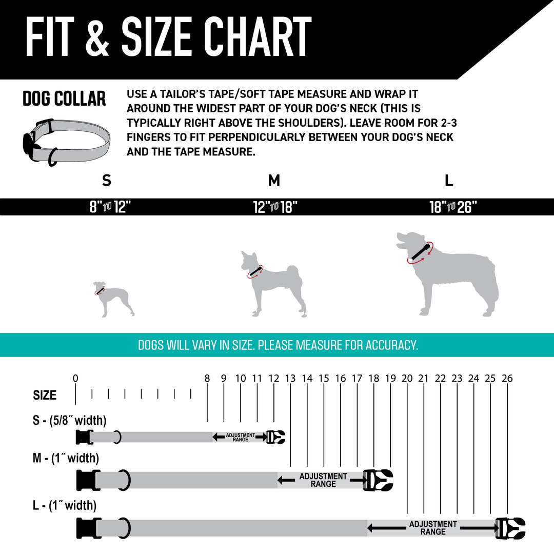 LazyDaisy Wide Dog Collar – Wolfgang