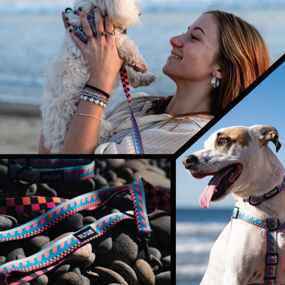 BuenaOnda DOG LEASH