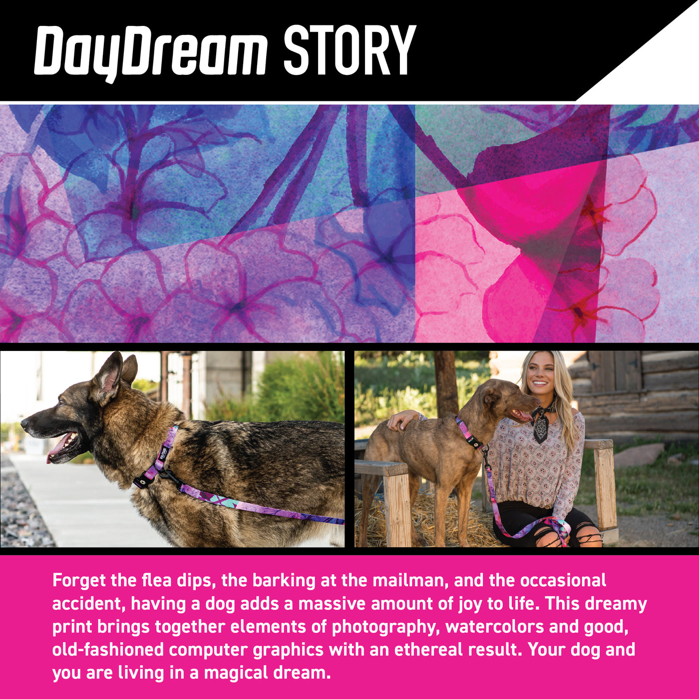 DayDream Dog Leash