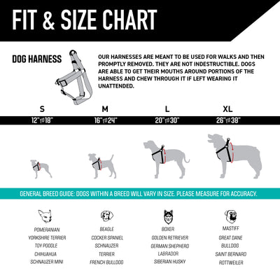 LazyDaisy COMFORT DOG HARNESS
