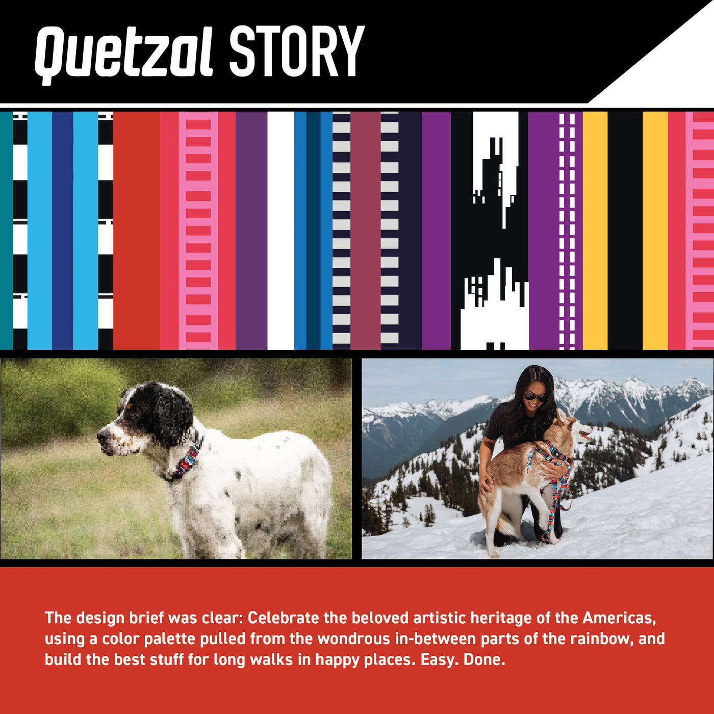 Quetzal Dog Harness