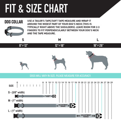 BrookTrout Wide Dog Collar