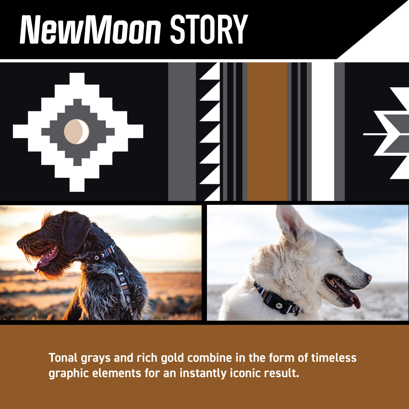 NewMoon Dog Collar