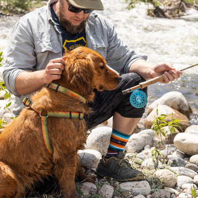 BrookTrout COMFORT DOG HARNESS