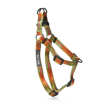 Comfortable Dog Harness - CutBow Design – Wolfgang