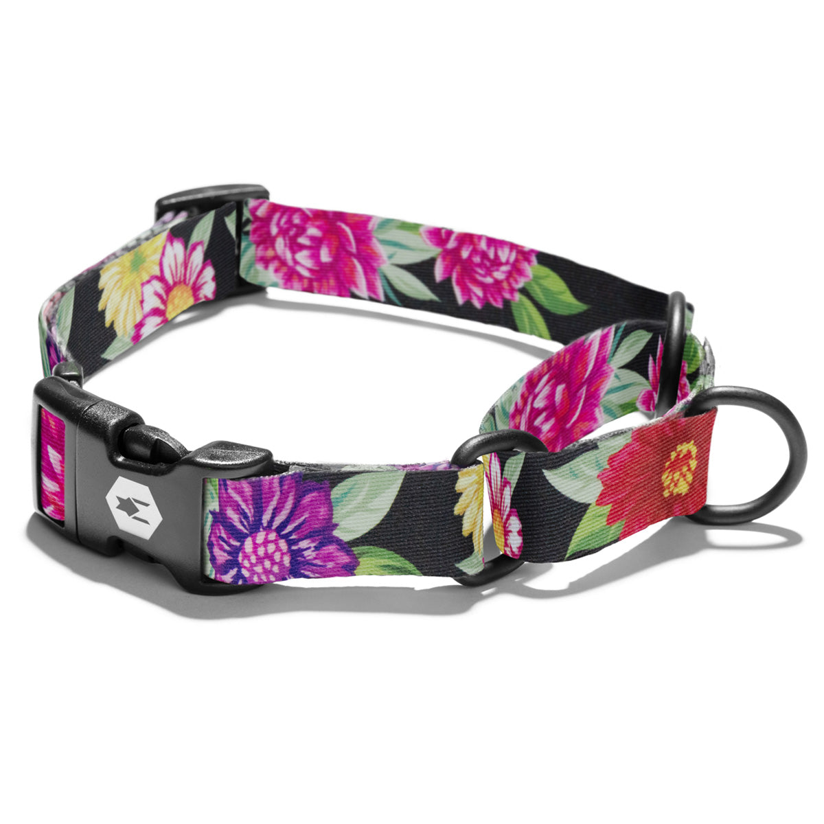 Bright floral pattern on black background on martingale collar.