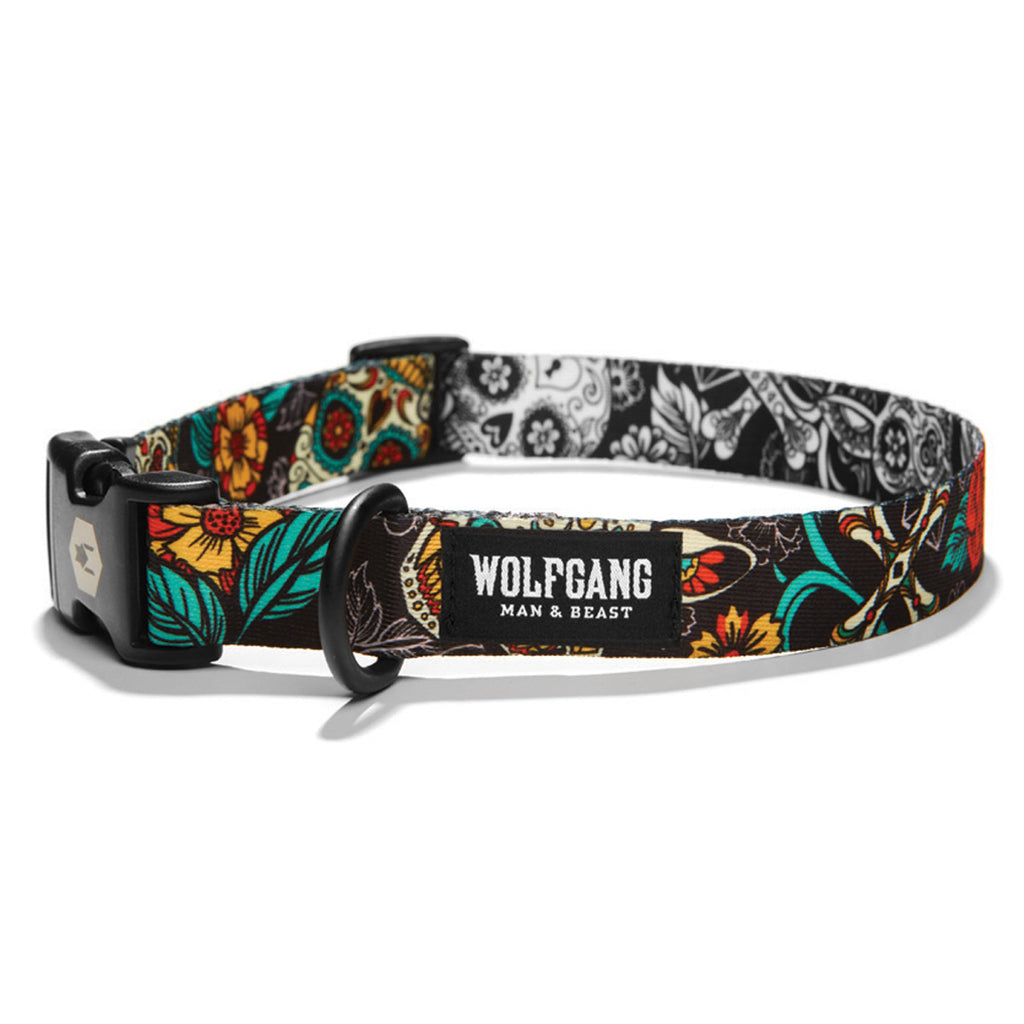 Man dog collar sale