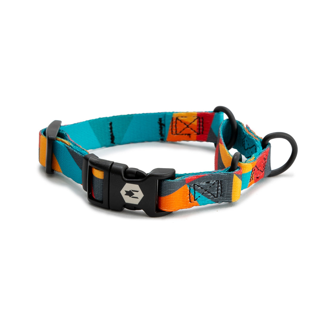 ShatterShapes MARTINGALE DOG COLLAR Wolfgang