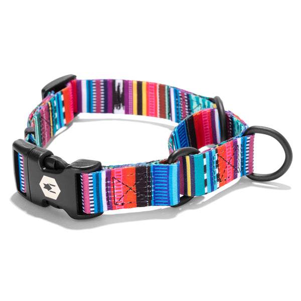 Antigua dog collar cheap